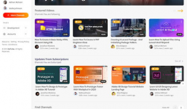 网页视频,一窥全貌